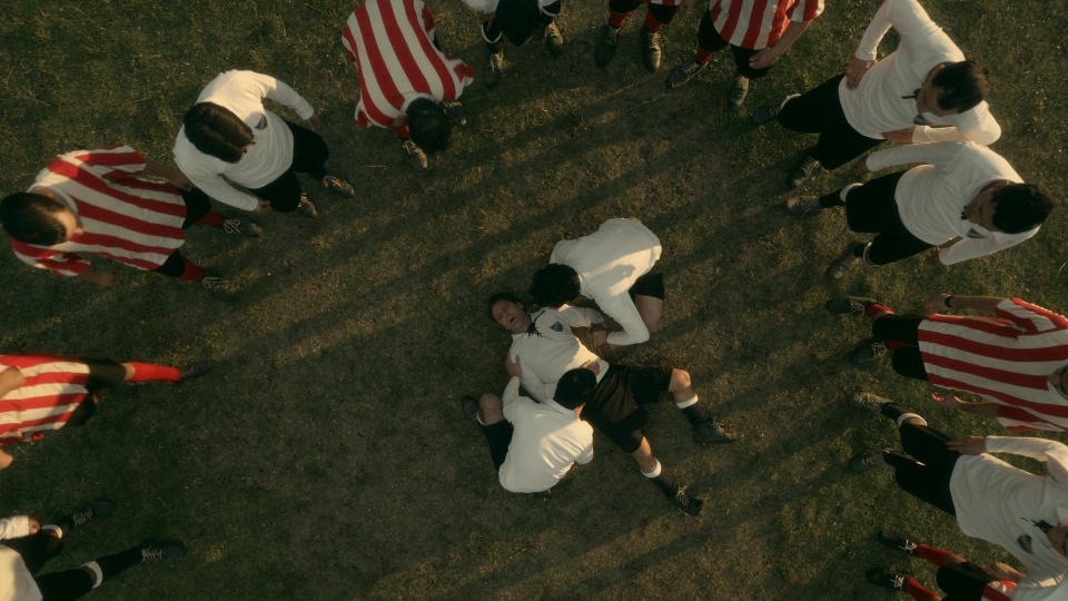 vicuña ded – cuerpo